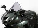 ZZR 1400, 06-